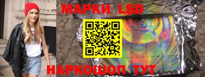 твердый Сланцы