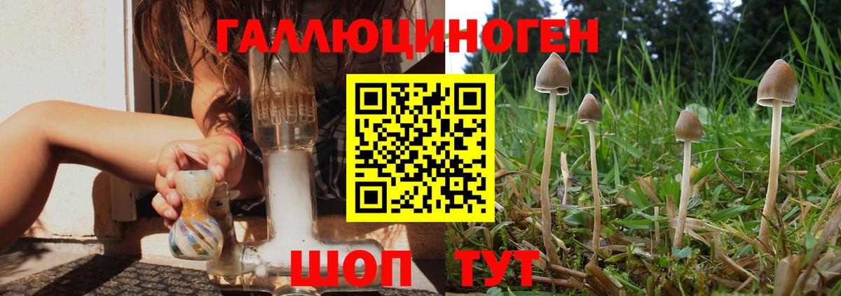 Новороссийск  Псилоцибиновые грибы прущие грибы  Вход с VPN 